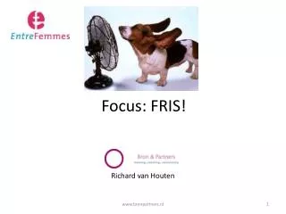 focus fris