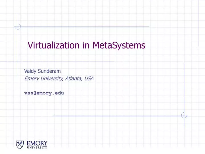 virtualization in metasystems