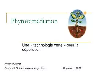 phytorem diation