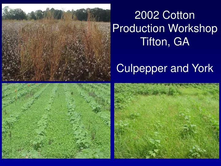 2002 cotton production workshop tifton ga culpepper and york