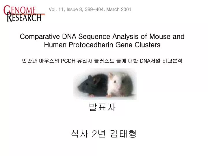 comparative dna sequence analysis of mouse and human protocadherin gene clusters pcdh dna