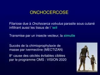 onchocercose
