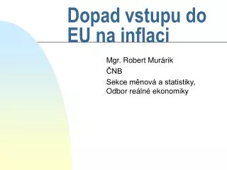 dopad vstupu do eu na inflaci