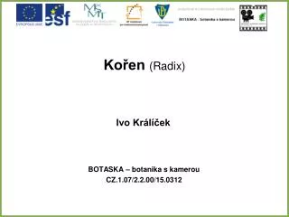 ko en radix