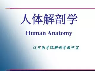 人体解剖学 Human Anatomy