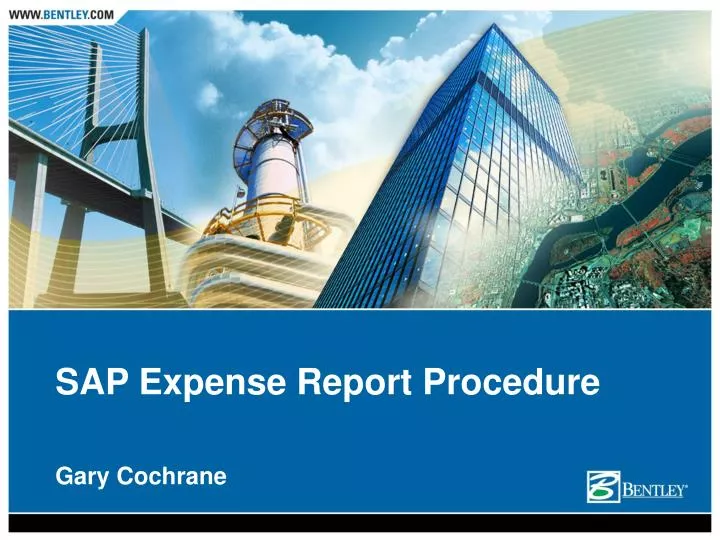 sap expense report procedure