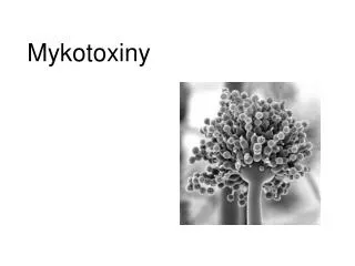mykotoxiny