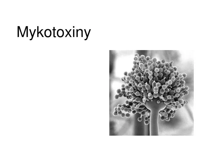 mykotoxiny