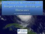 Programa de Restauraci ón del Bosque Urbano Afectado por Huracanes - slide 1