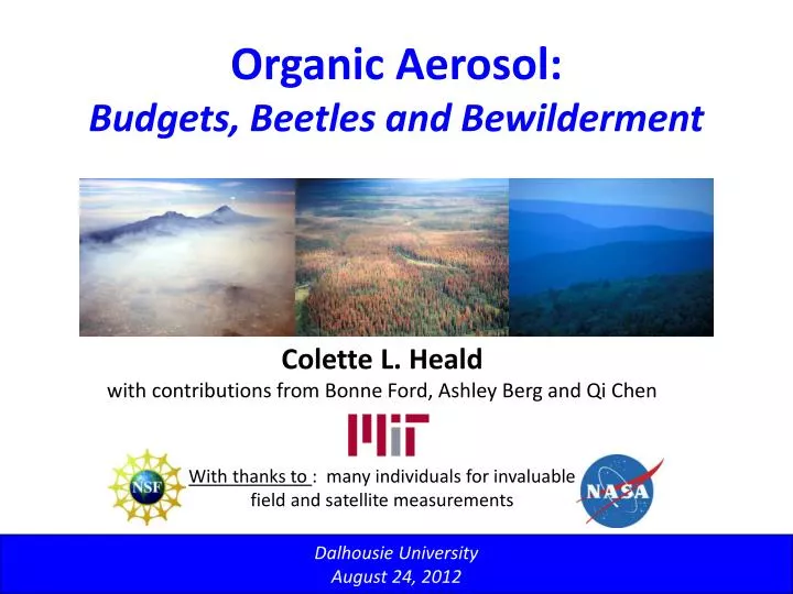 organic aerosol budgets beetles and bewilderment