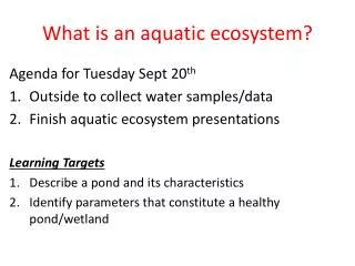 What is an aquatic ecosystem?