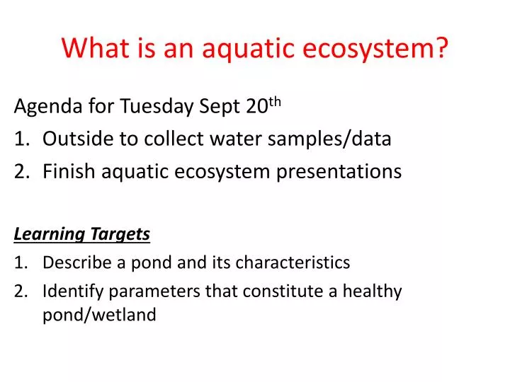what is an aquatic ecosystem