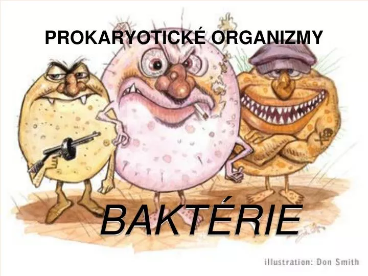 prokaryotick organizmy