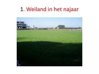 1 weiland in het najaar