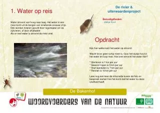 de rivier uiterwaardenproject