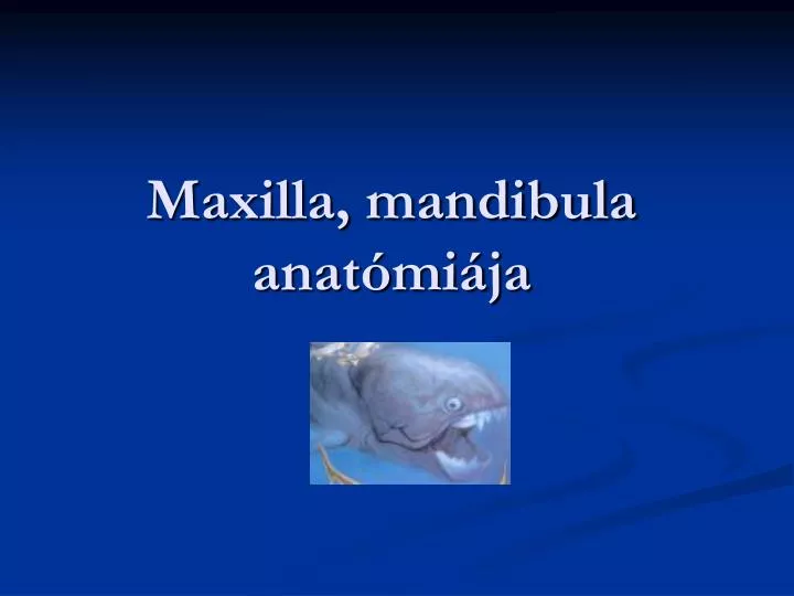 maxilla mandibula anat mi ja