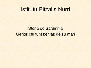 istitutu pitzalis nurri