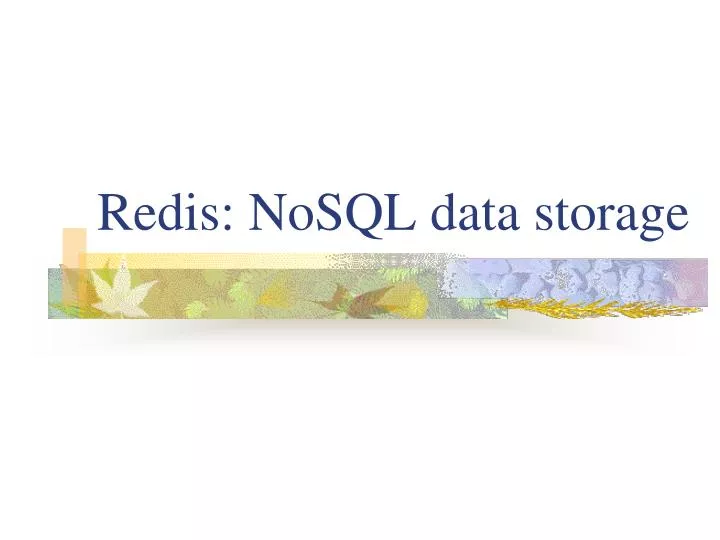 redis nosql data storage