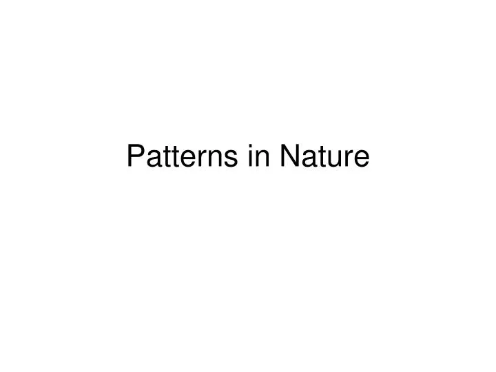 patterns in nature