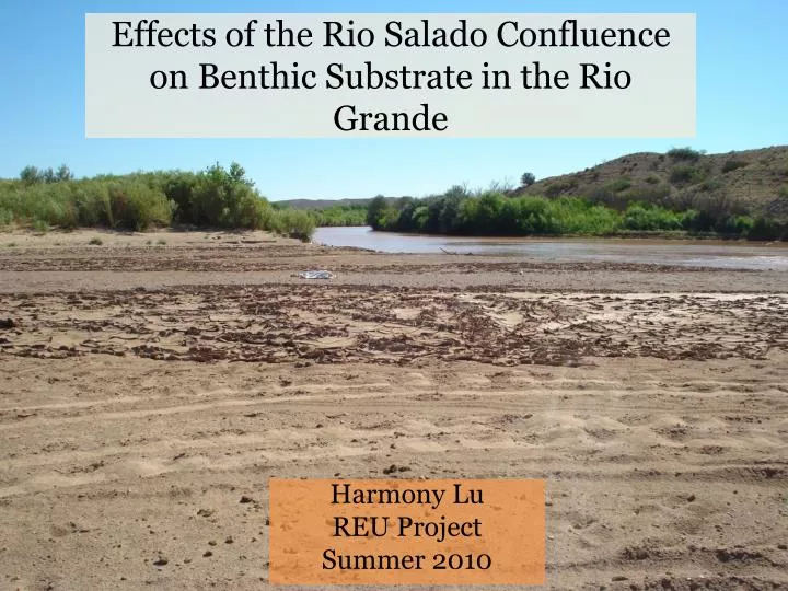 effects of the rio salado confluence on benthic substrate in the rio grande