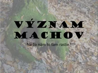 v znam machov