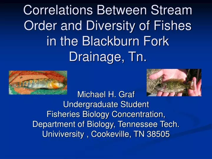 correlations between stream order and diversity of fishes in the blackburn fork drainage tn