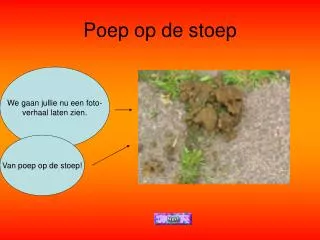 poep op de stoep