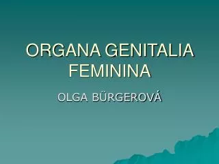 organa genitalia feminina