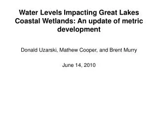 Water Levels Impacting Great Lakes Coastal Wetlands: An update of metric development