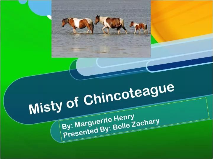 misty of chincoteague