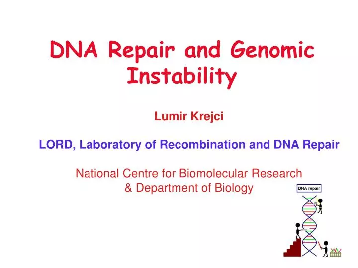 dna repair and genomic instability