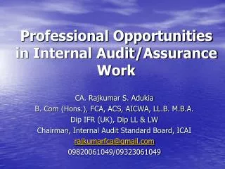 Professional Opportunities in Internal Audit/Assurance Work
