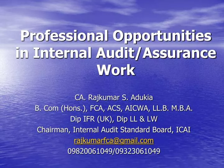 professional opportunities in internal audit assurance work