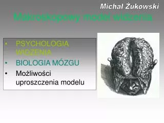 makroskopowy model widzenia
