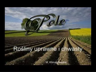 ro liny uprawne i chwasty