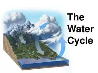 The Water Cycle