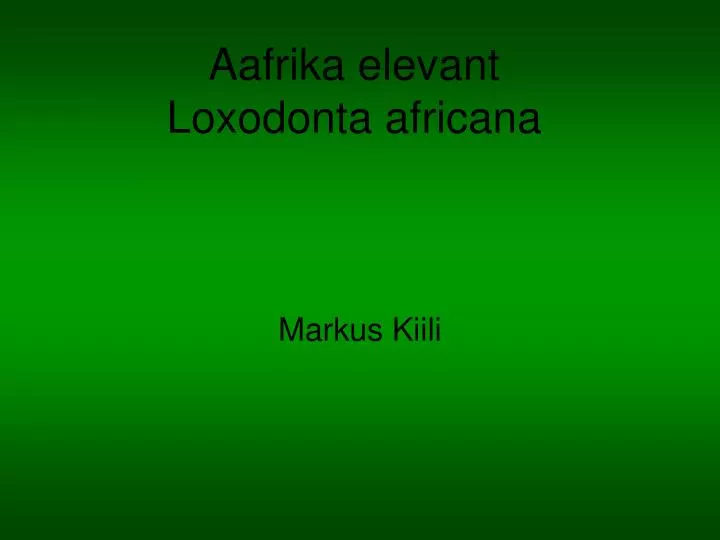 aafrika elevant loxodonta africana