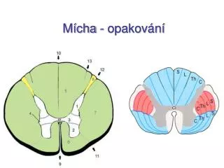 m cha opakov n