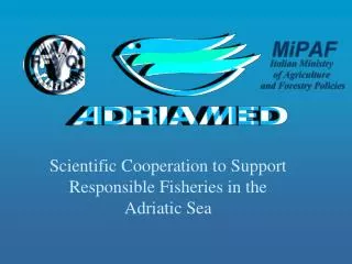 Scientific Cooperation to Support Responsible Fisheries in the Adriatic Sea