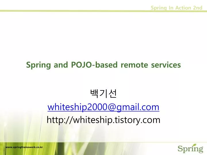 spring and pojo based remote services