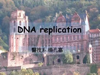 DNA replication