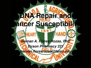 DNA Repair and Cancer Susceptibility