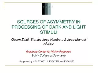 SOURCES OF ASYMMETRY IN PROCESSING OF DARK AND LIGHT STIMULI