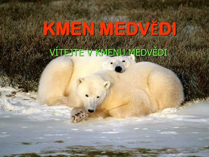 kmen medv di