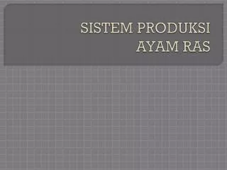 sistem produksi ayam ras