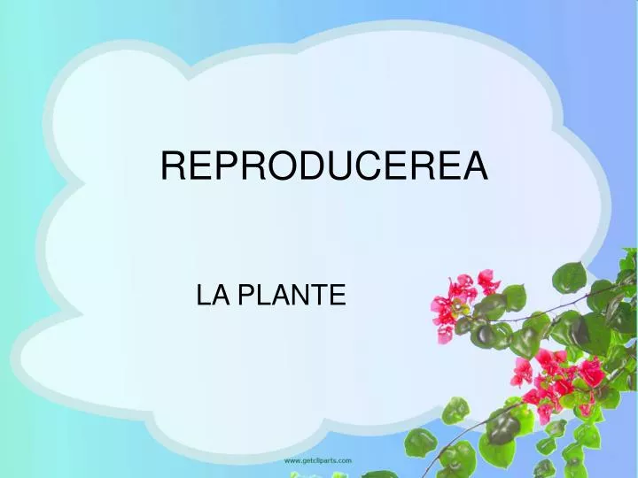 reproducerea