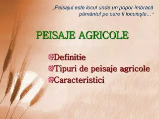 peisaje agricole
