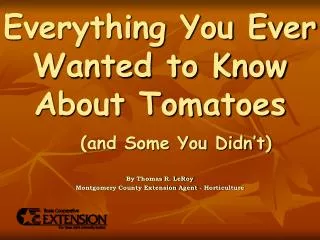 Everything You Ever Wanted to Know About Tomatoes