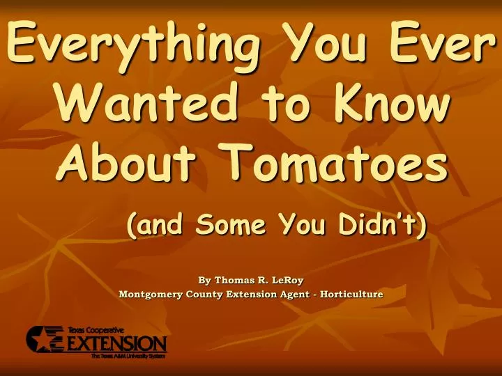 everything you ever wanted to know about tomatoes