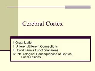 Cerebral Cortex